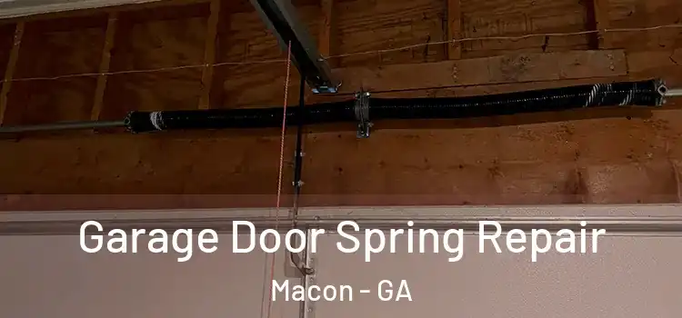  Garage Door Spring Repair Macon - GA