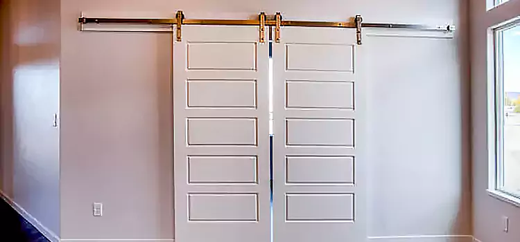 Glass Barn Door with Installation Hardware Kit Macon