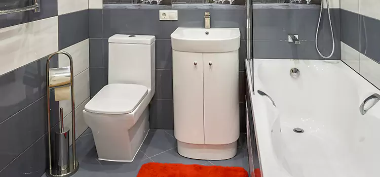 Hansgrohe Shaving Mirror Macon